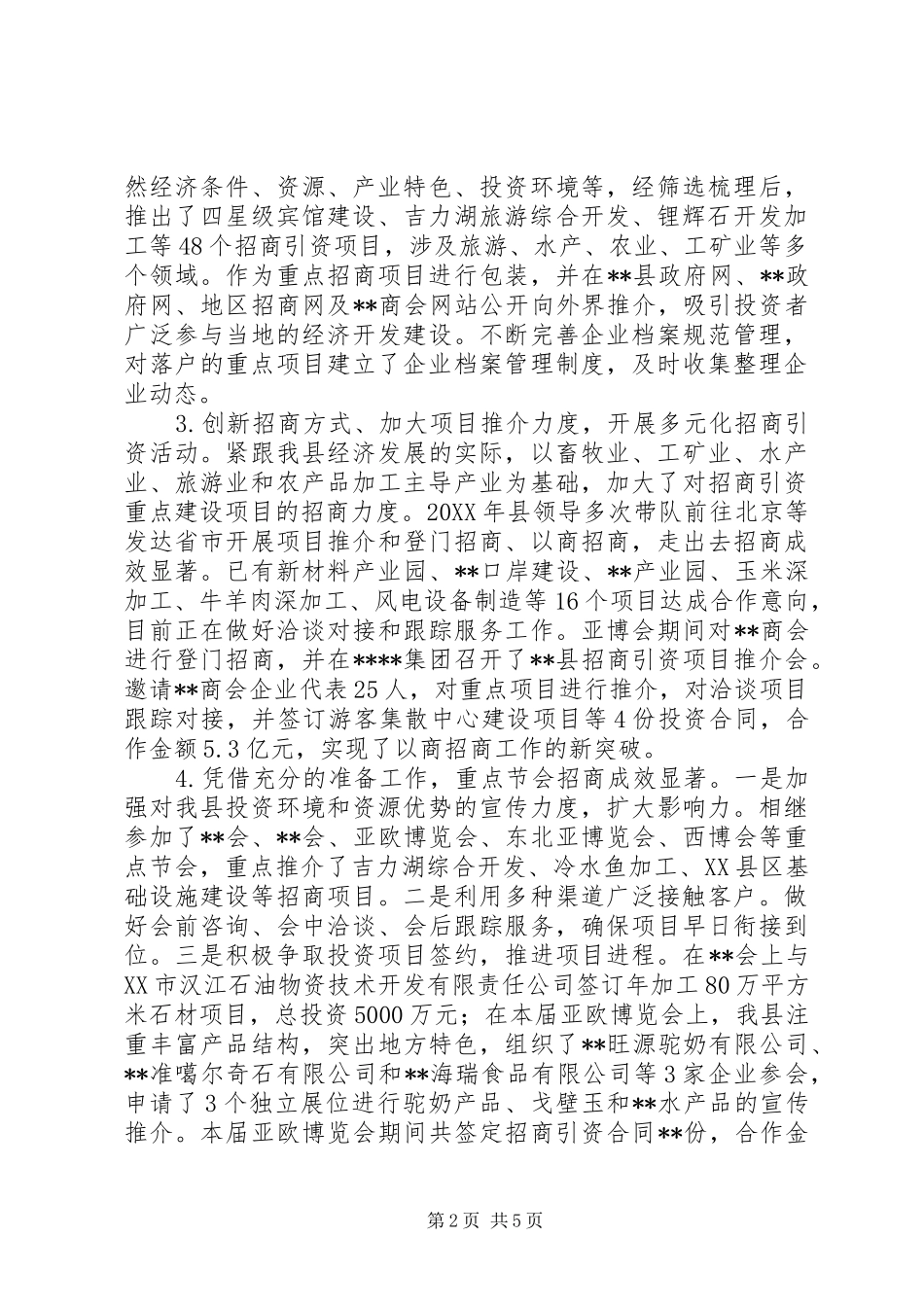 2024年招商引资工作总结及工作计划_第2页