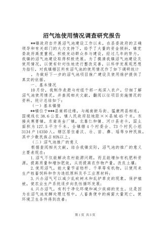 2024年沼气池使用情况调查研究报告
