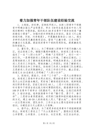 2024年着力加强青年干部队伍建设经验交流