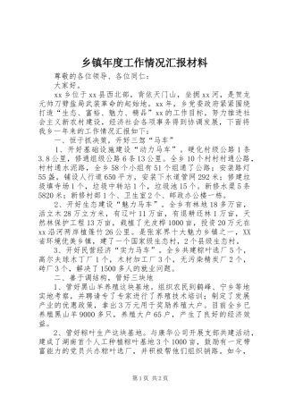 2024年乡镇年度工作情况汇报材料