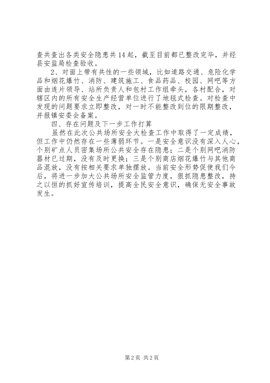 2024年乡镇年度公共场所安全工作总结_第2页