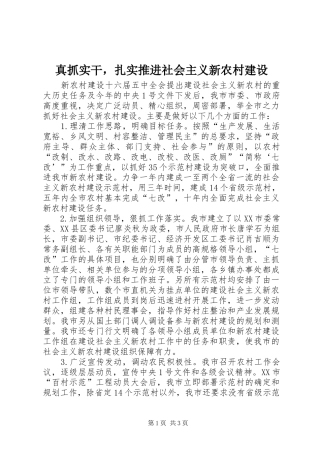 2024年真抓实干，扎实推进社会主义新农村建设