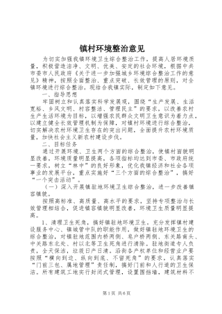 2024年镇村环境整治意见