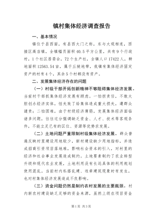 2024年镇村集体经济调查报告