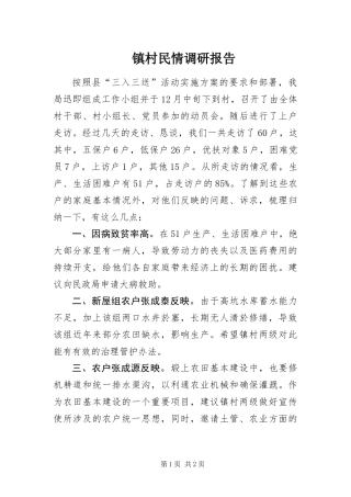 2024年镇村民情调研报告