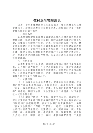 2024年镇村卫生管理意见