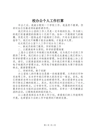 2024年校办公个人工作打算