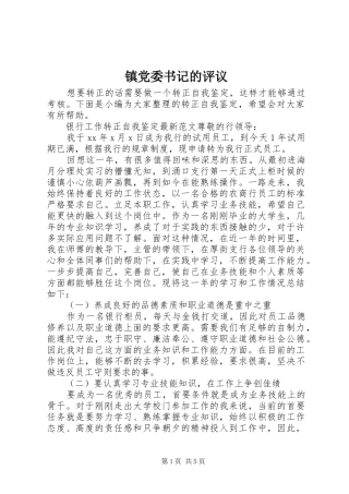 2024年镇党委书记的评议