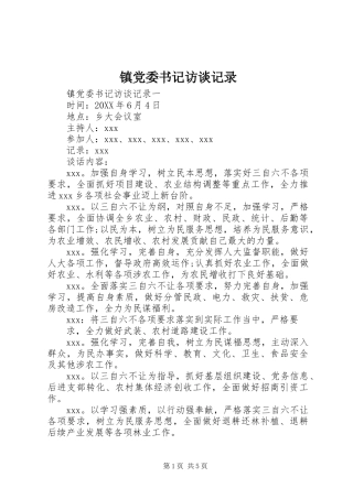 2024年镇党委书记访谈记录