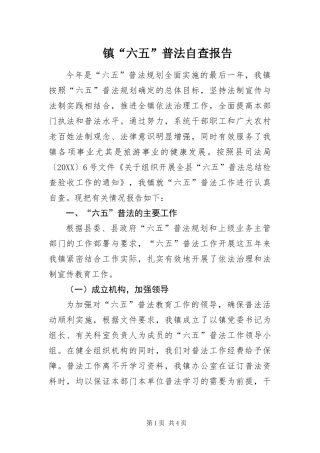2024年镇六五普法自查报告