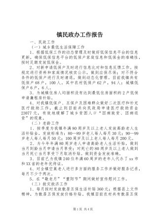 2024年镇民政办工作报告