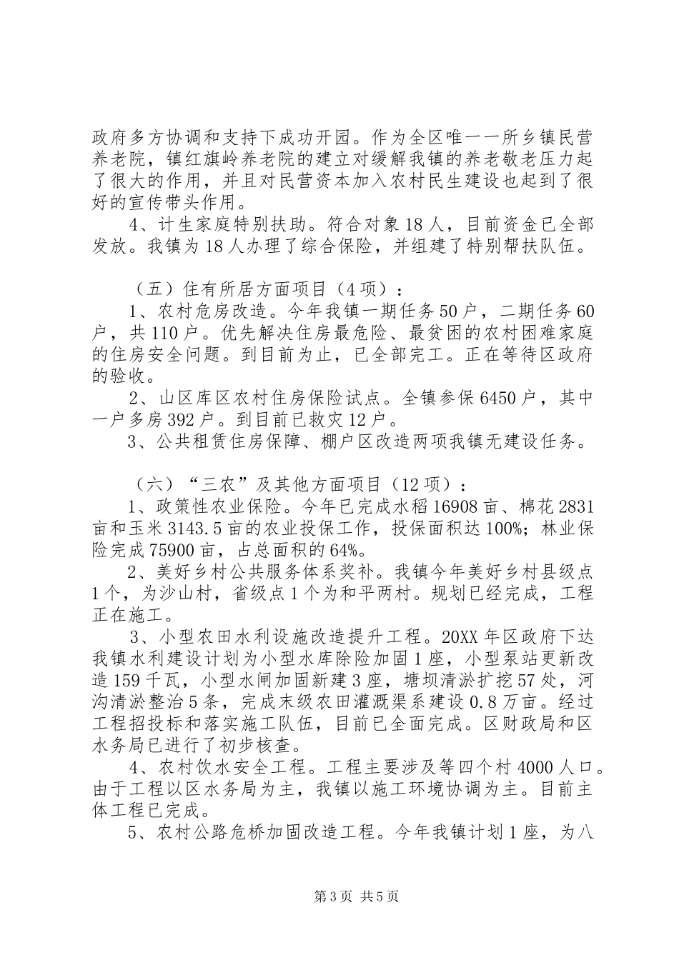 2024年乡镇年度民生工程实施工作总结_第3页
