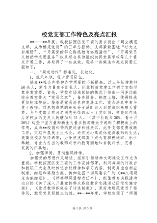 2024年校党支部工作特色及亮点汇报