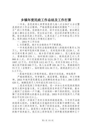 2024年乡镇年度民政工作总结及工作打算