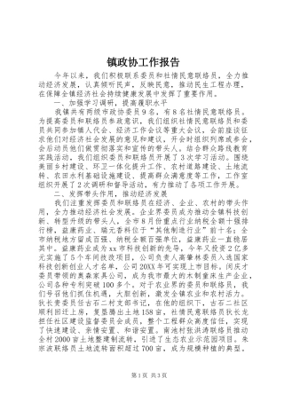 2024年镇政协工作报告