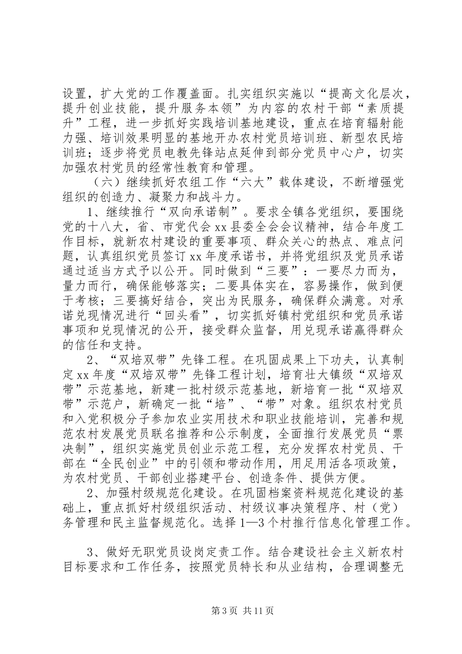 2024年乡镇年度农村基层组织建设工作计划_第3页