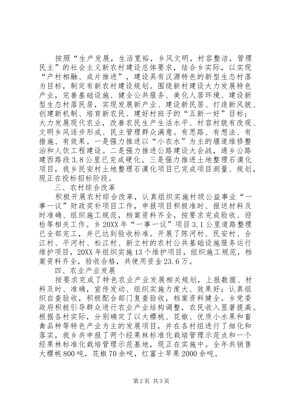 2024年乡镇年度农村事务工作总结_第2页