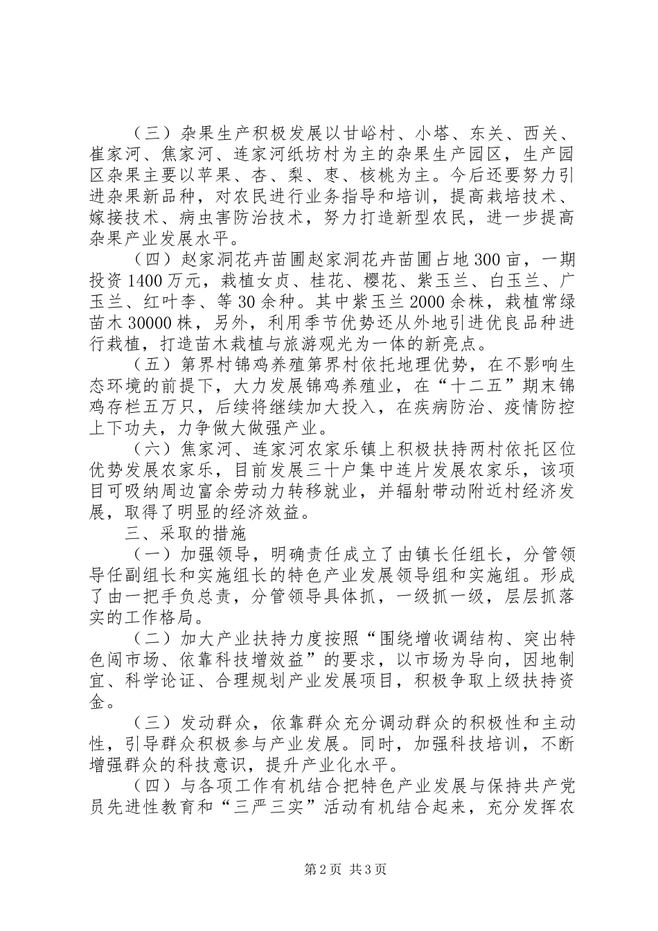 2024年乡镇年度特色产业工作总结_第2页