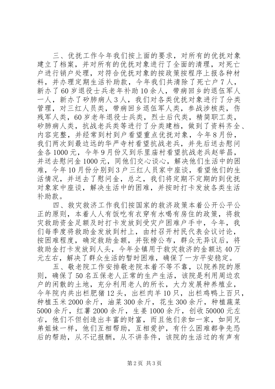 2024年乡镇年度重点民政工作总结_第2页