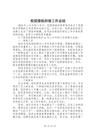 2024年校团委组织部工作总结