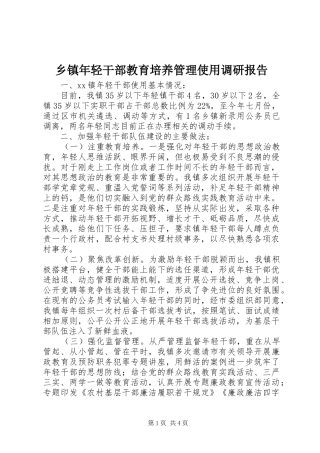 2024年乡镇年轻干部教育培养管理使用调研报告
