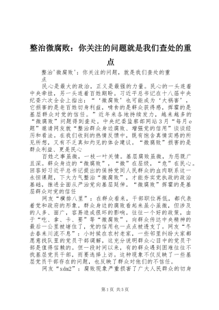 2024年整治微腐败你关注的问题就是我们查处的重点