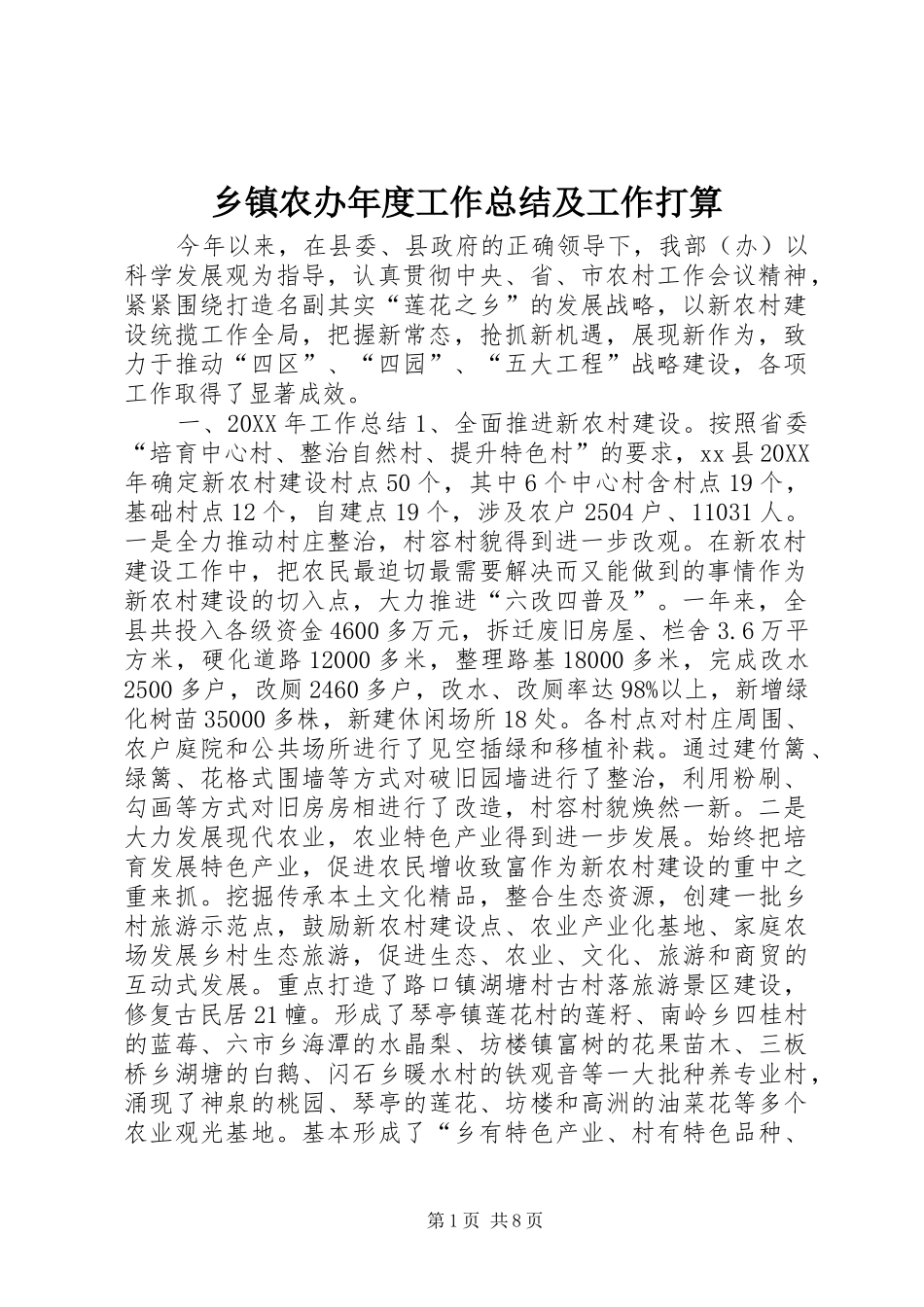 2024年乡镇农办年度工作总结及工作打算_第1页