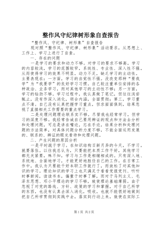 2024年整作风守纪律树形象自查报告