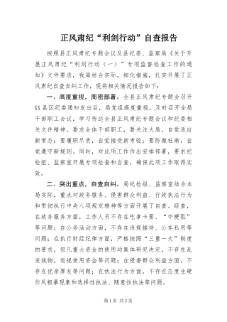 2024年正风肃纪利剑行动自查报告