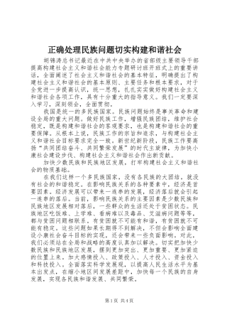 2024年正确处理民族问题切实构建和谐社会