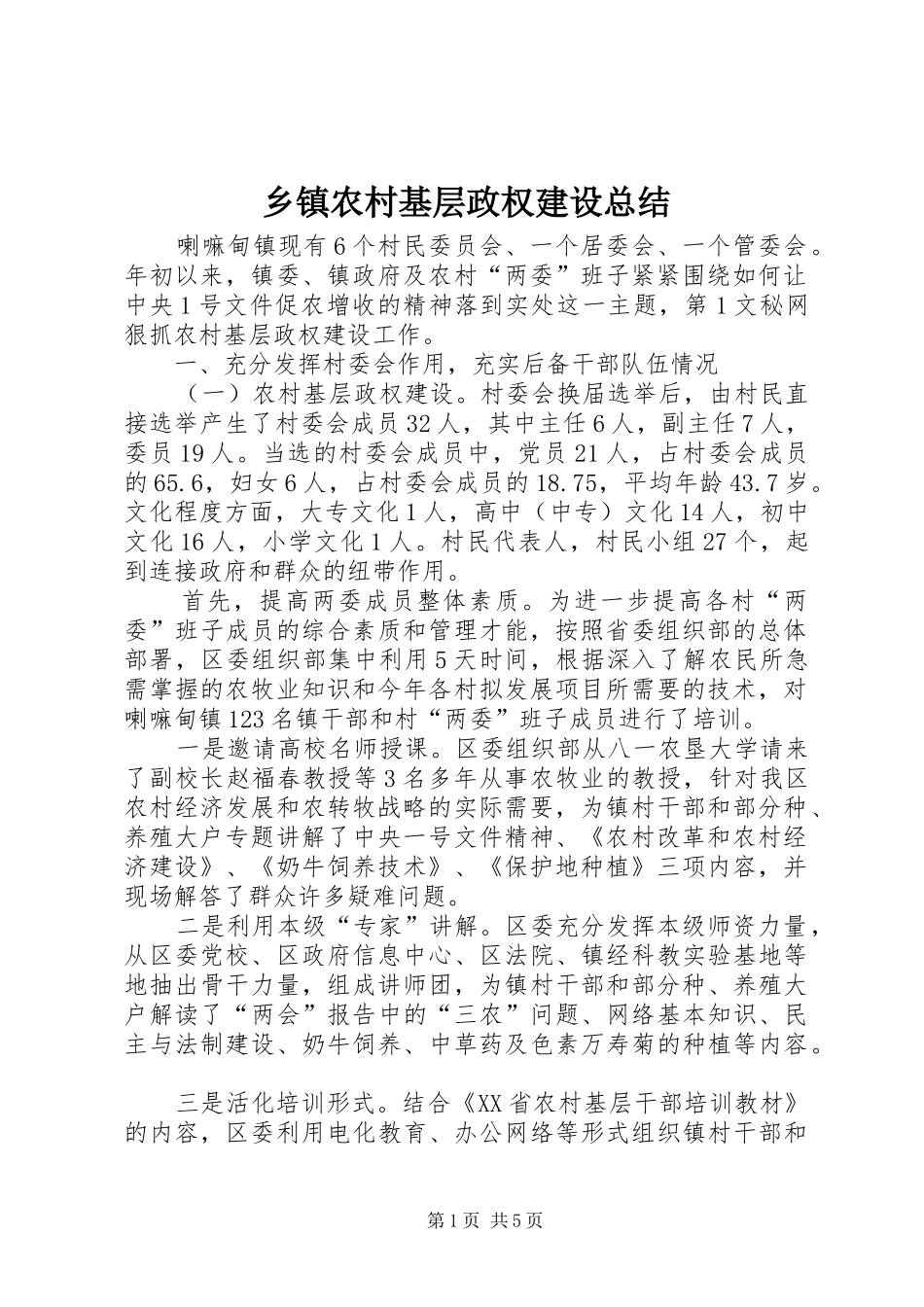 2024年乡镇农村基层政权建设总结_第1页