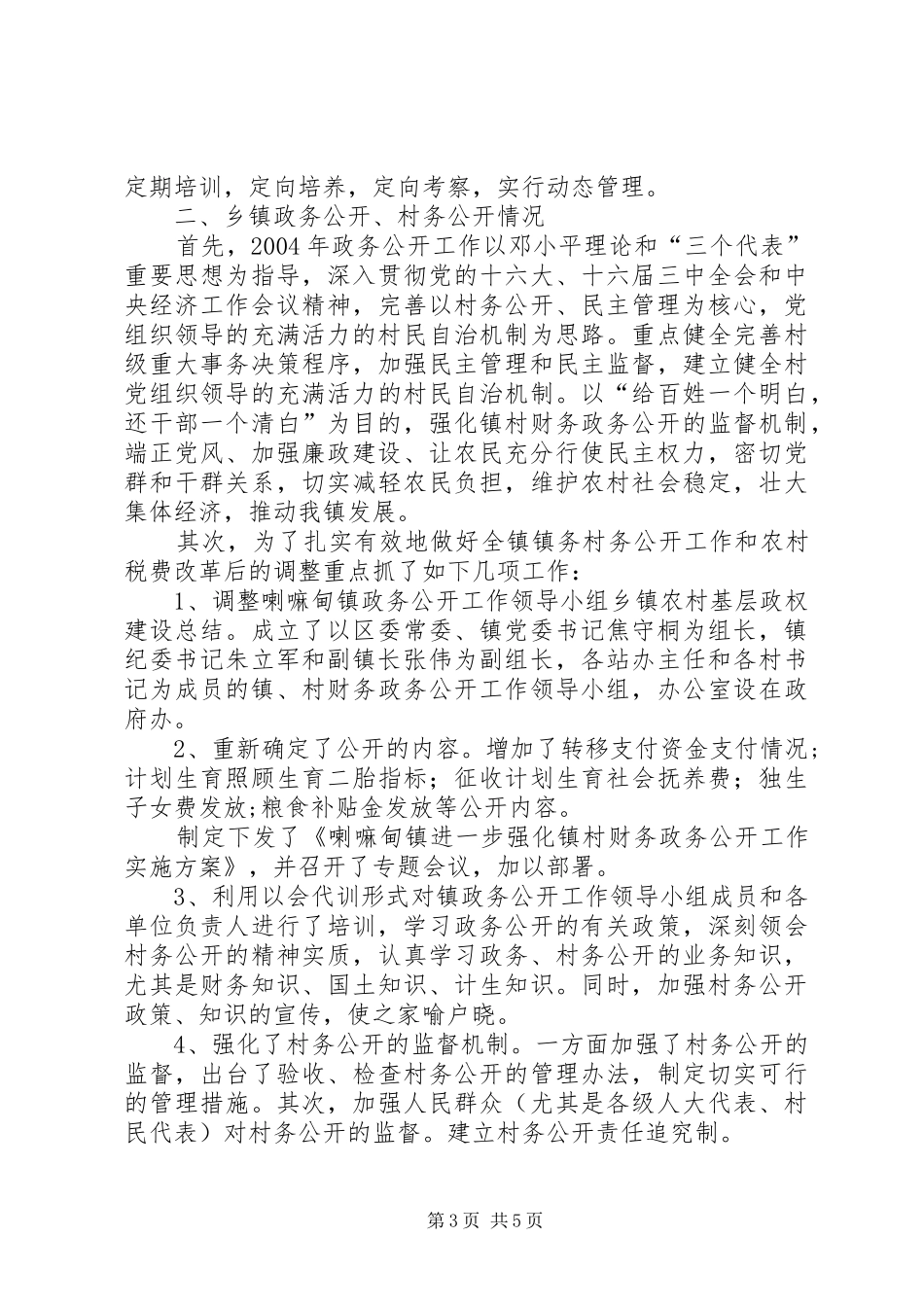 2024年乡镇农村基层政权建设总结_第3页