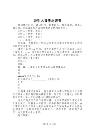 2024年证明人责任承诺书