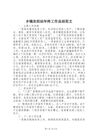2024年乡镇农经站年终工作总结范文