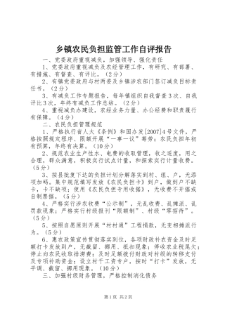 2024年乡镇农民负担监管工作自评报告