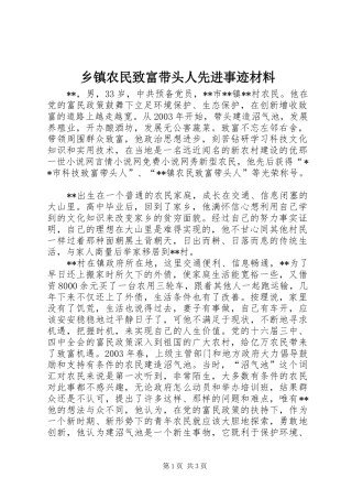 2024年乡镇农民致富带头人先进事迹材料