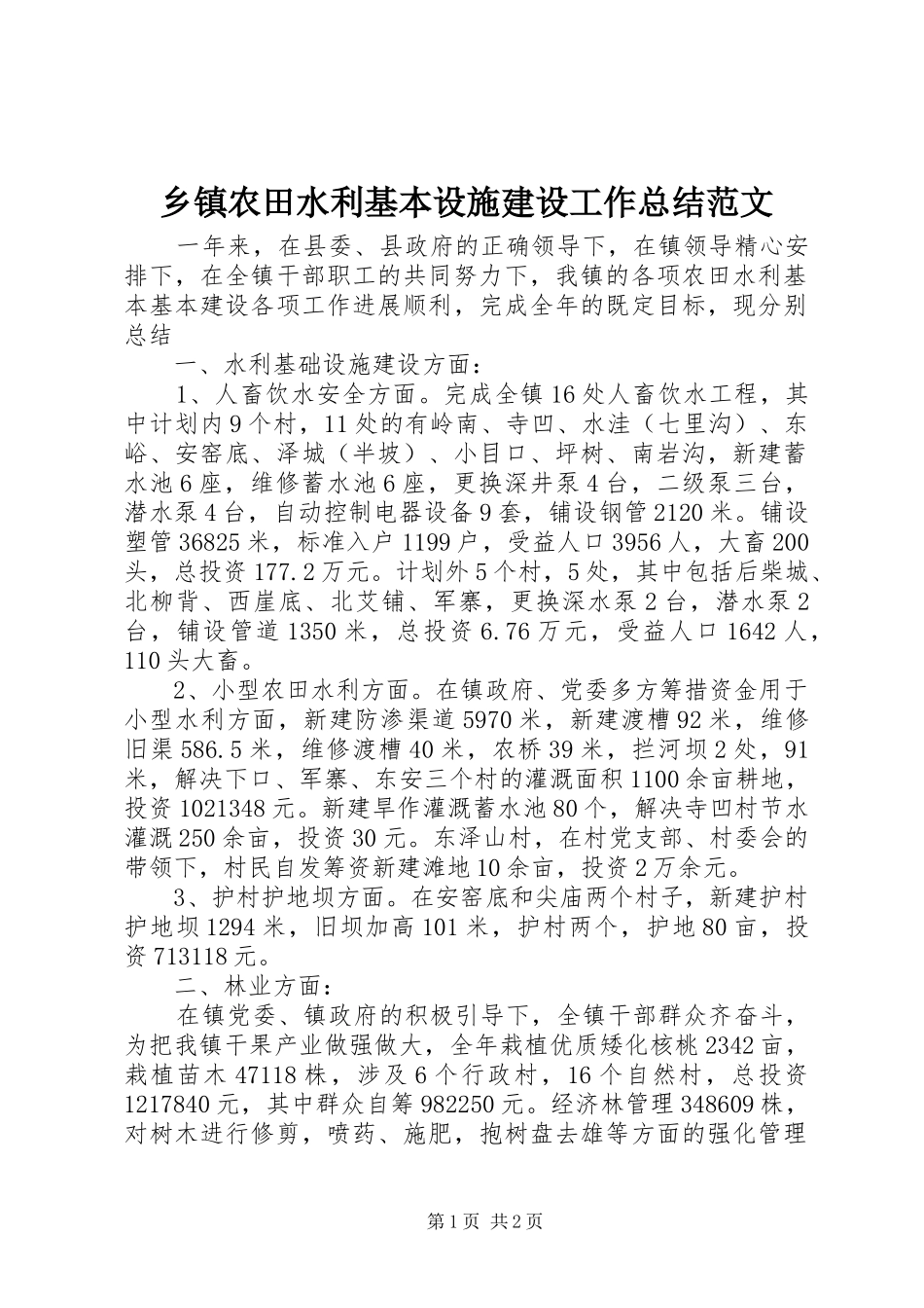 2024年乡镇农田水利基本设施建设工作总结范文_第1页