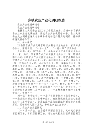 2024年乡镇农业产业化调研报告