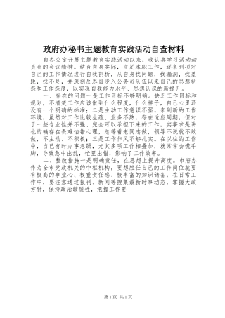 2024年政府办秘书主题教育实践活动自查材料