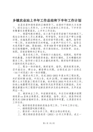 2024年乡镇农业站上半年工作总结和下半年工作计划