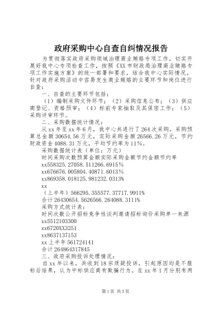 2024年政府采购中心自查自纠情况报告