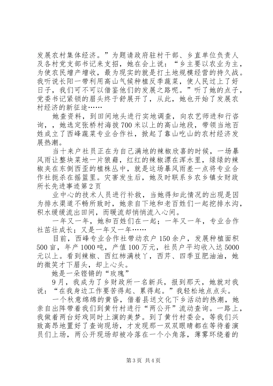 2024年乡镇女财政所长先进事迹_第3页