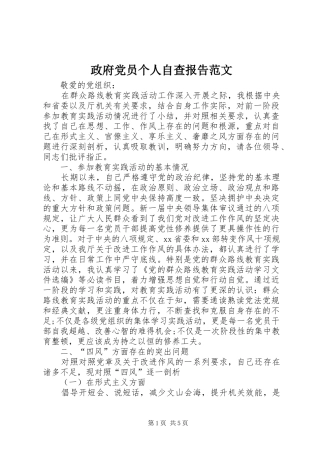 2024年政府党员个人自查报告范文