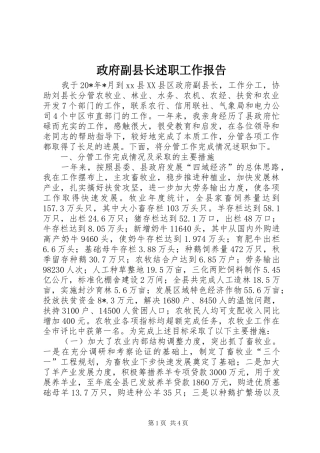 2024年政府副县长述职工作报告