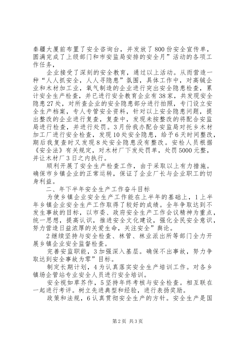 2024年乡镇企业安全生产年终小结_第2页