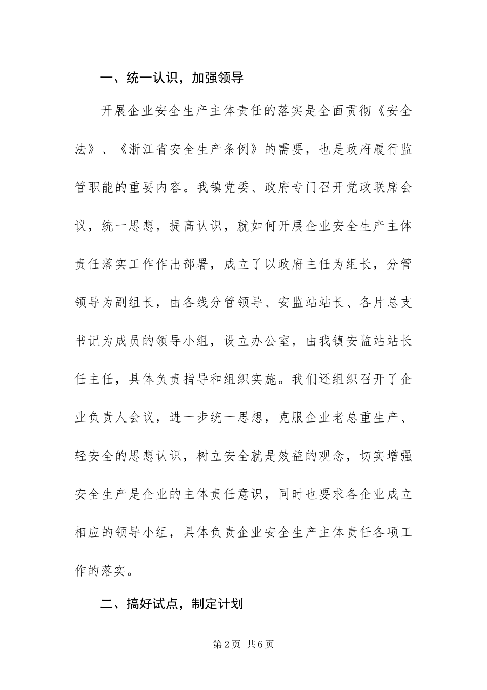 2024年乡镇企业安全生产主体责任做法汇报_第2页