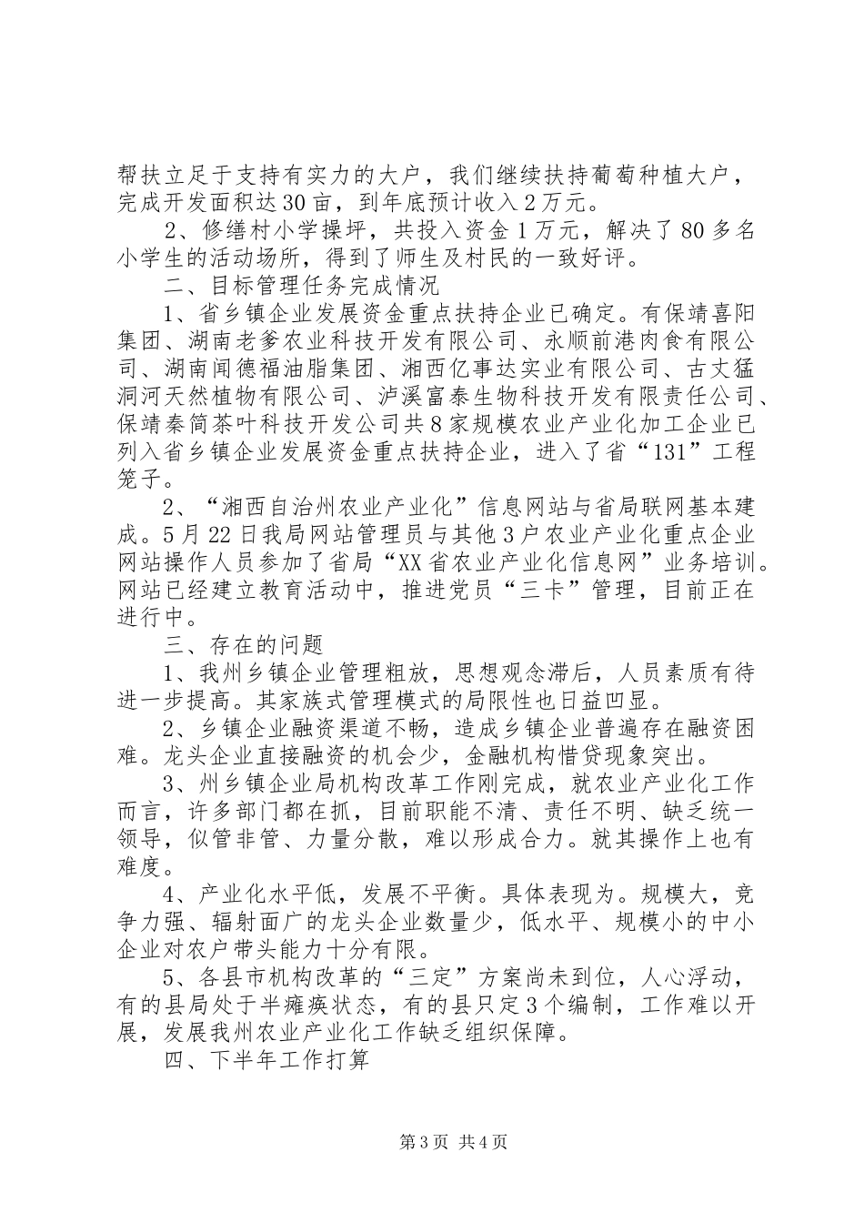 2024年乡镇企业工作的自我总结_第3页