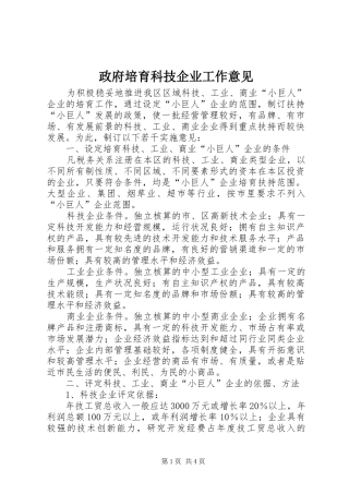 2024年政府培育科技企业工作意见