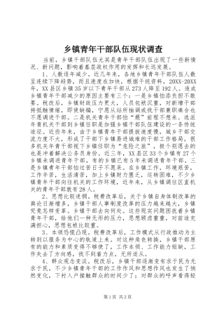 2024年乡镇青年干部队伍现状调查