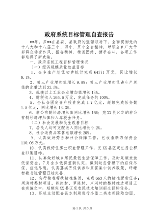 2024年政府系统目标管理自查报告